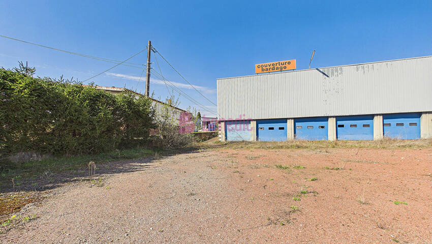 56905836l - Attribut alt par défaut.