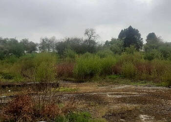 60351266a - Attribut alt par défaut.