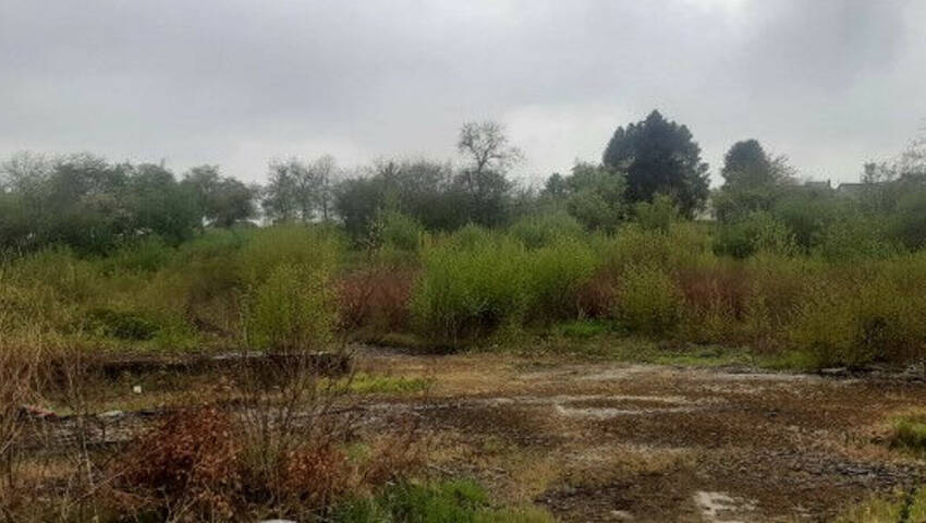 60351266a - Attribut alt par défaut.