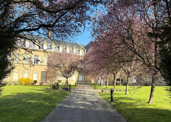 60036956b - Attribut alt par défaut.