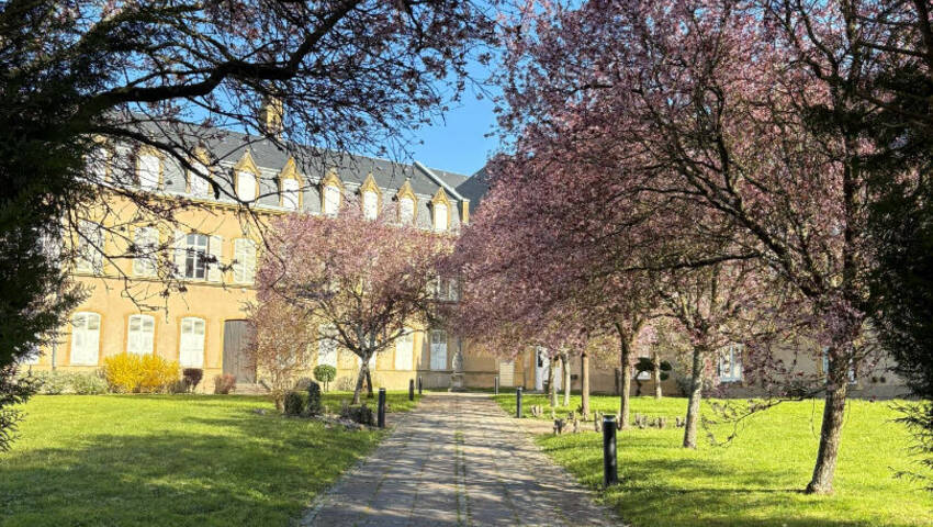 60036956b - Attribut alt par défaut.