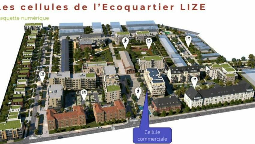 239686538 57 25794 3 - Attribut alt par défaut.