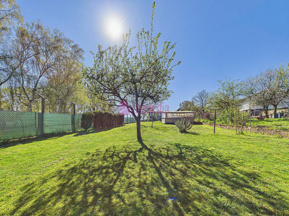 60203951q - Attribut alt par défaut.