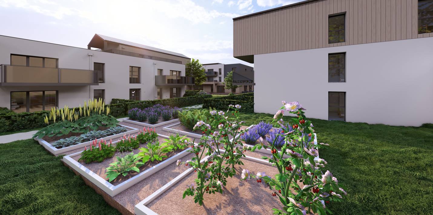 P1 jardins partage us 2 - Attribut alt par défaut.